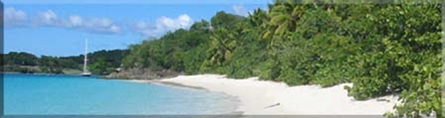 st john caribbean beaches