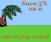 cars and Jeeps